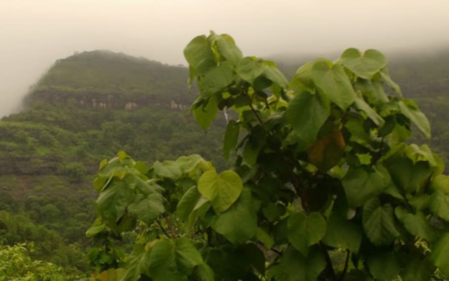 Karjat Bhor Ghat Landscape Image