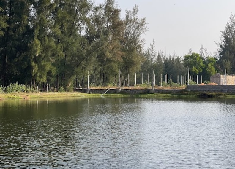 Majali_Beach_2