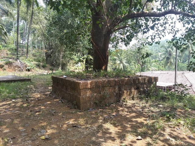 Kammadam_Sacred_Grove_Wildlife_Sanctuary_2