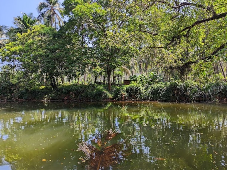 Madhur_Sri_Madanantheshwara_Siddhivinayaka_Temple_4