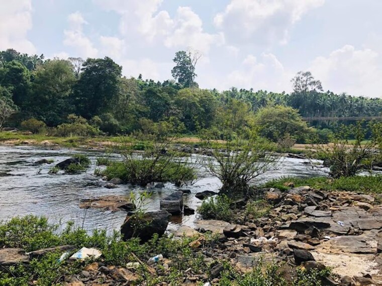 Parappa_Wildlife_Sanctuary_1