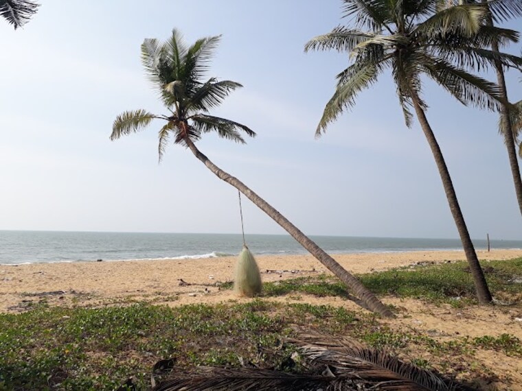 Thaikadappuram_Beach_3