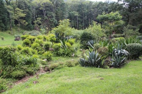 Paragliding in Godavari