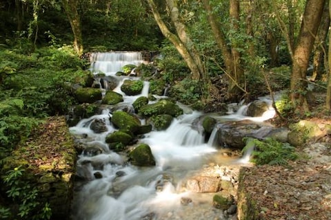 Shivapuri Nagarjun National Park