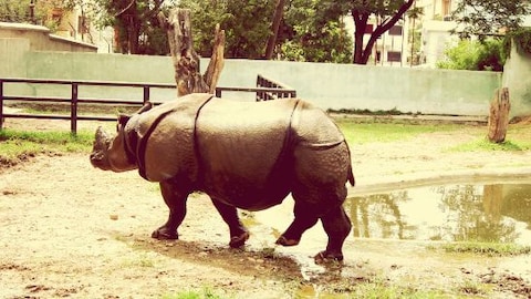 Central Zoo