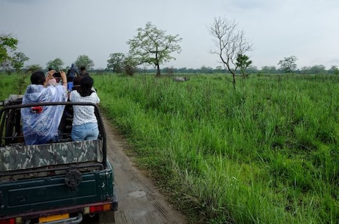 Jeep Safari in Kaziranga