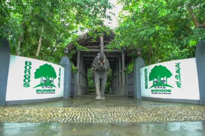 kaziranga_resort_borgos