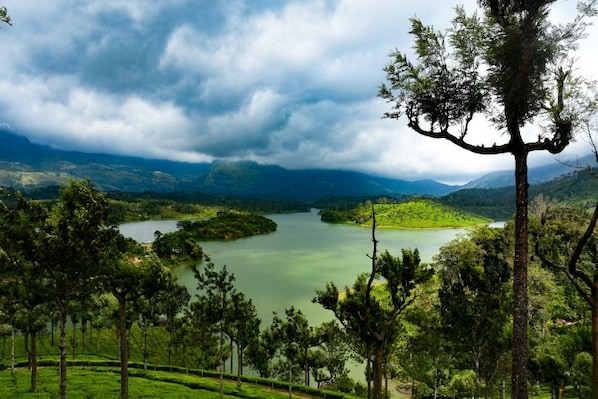 Kerala_Dec2022_3
