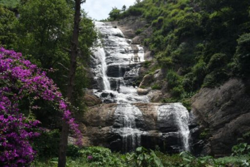 Kodaikanal Bear Shola Falls Landscape Image