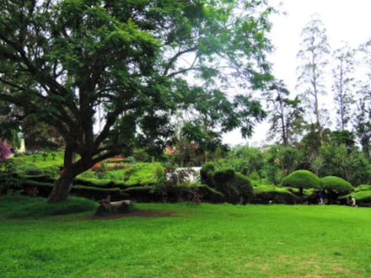Kodaikanal Bryant Park Landscape Image