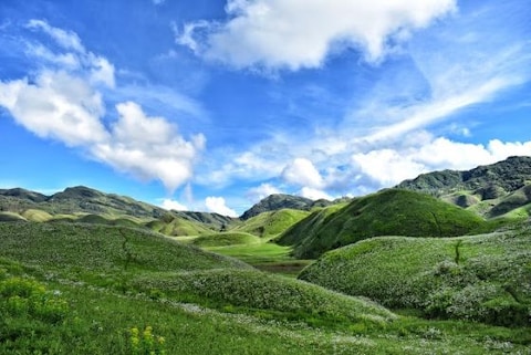 Pulie Badze Wildlife Sanctuary