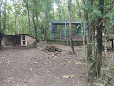 Nagaland State Museum