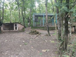 Nagaland State Museum