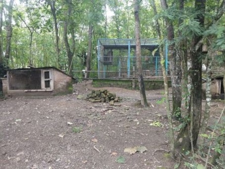 Nagaland State Museum, Kohima