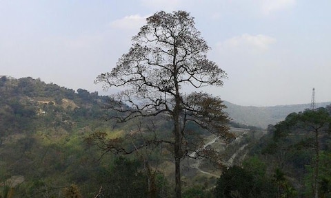 Kohima War Cemetery