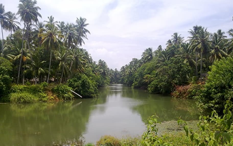 Kovalam Karamana River Landscape Image
