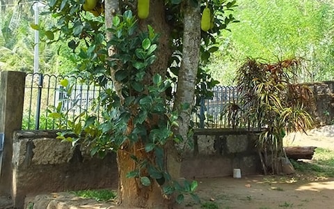 Explore the Vizhinjam Rock Cut Cave Temple