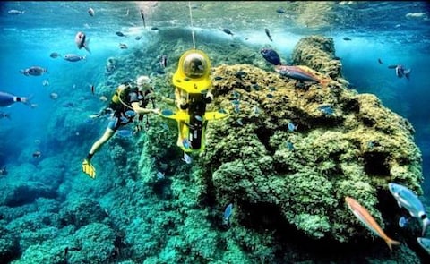 Indulge in Water Sports Adventures