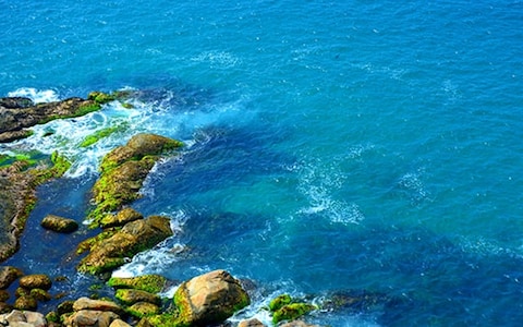 Vizhinjam Marine Aquarium