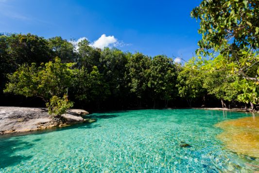 krabi_thung_teao_forest_national_park_3