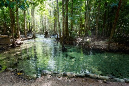 krabi_thung_teao_forest_national_park_5