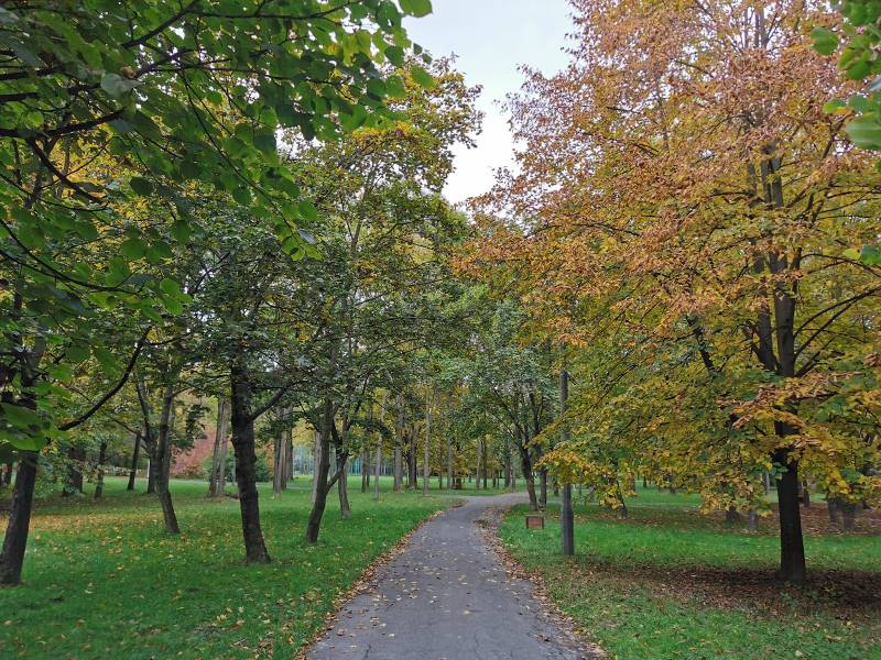 Krakow_Polish_Airmen_Park_1