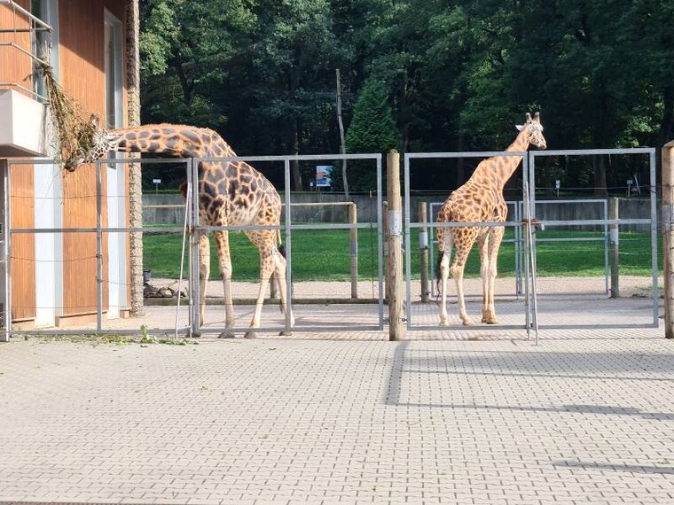 Krakow_Krakow_Zoo_2