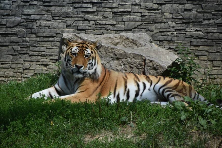 Krakow_Krakow_Zoo_8