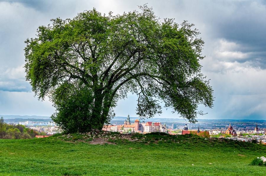 Krakow_Krakus_Mound_10