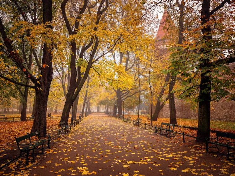 Krakow_Planty_Park_1