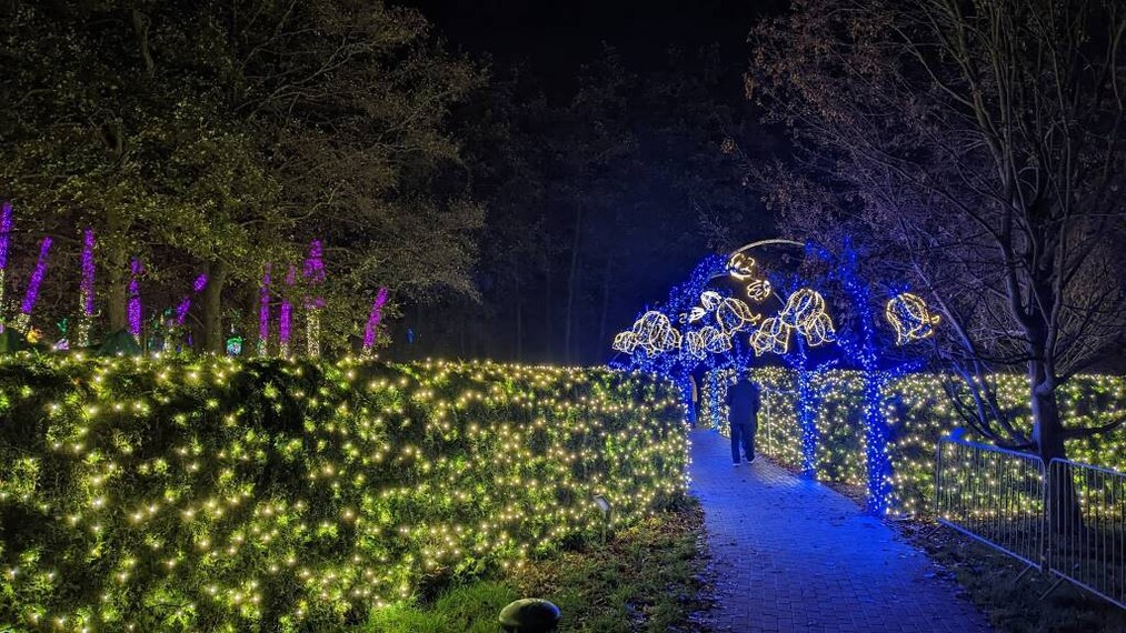 Krakow_Polish_Airmen_Park_8