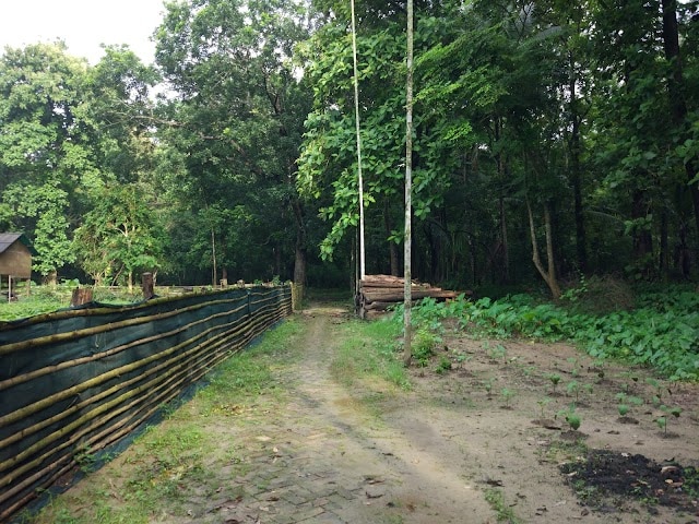 Hijuli_Forest_Ranaghat_1