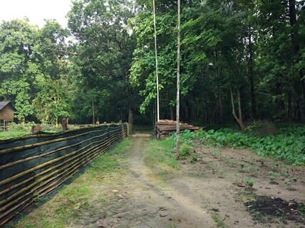 Hijuli Forest Ranaghat