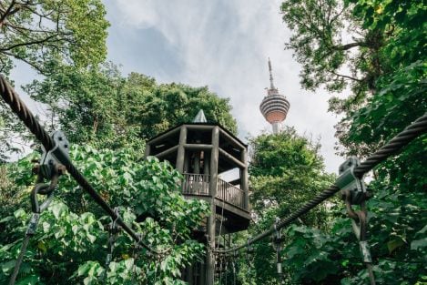 kuala_lumpur_bukit_nanas_forest_reserve_2