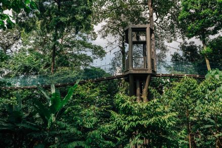 kuala_lumpur_bukit_nanas_forest_reserve_6