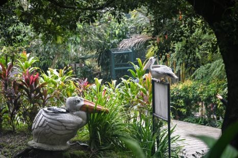 kuala_lumpur_national_zoo_of_malaysia_6