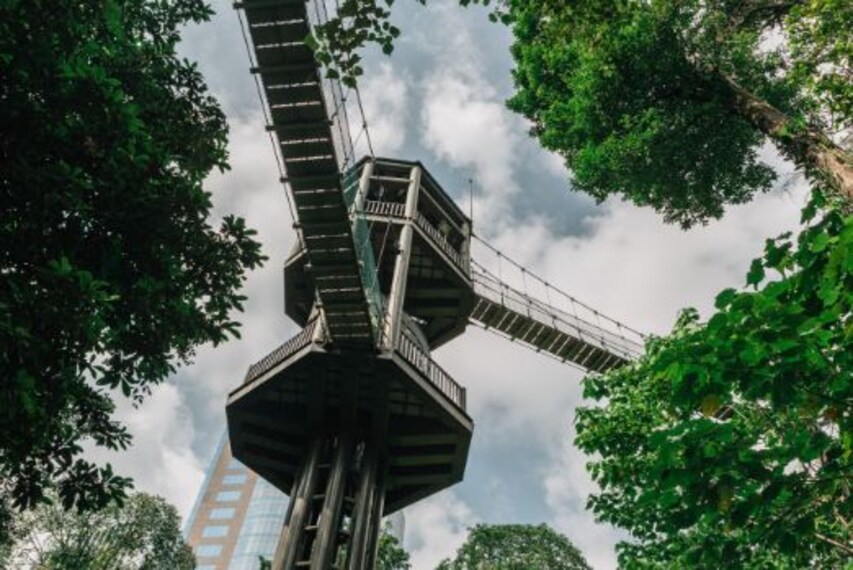 kuala_lumpur_bukit_nanas_forest_reserve_3