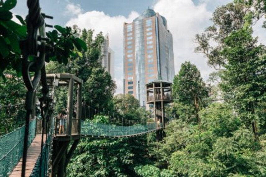 kuala_lumpur_bukit_nanas_forest_reserve_4