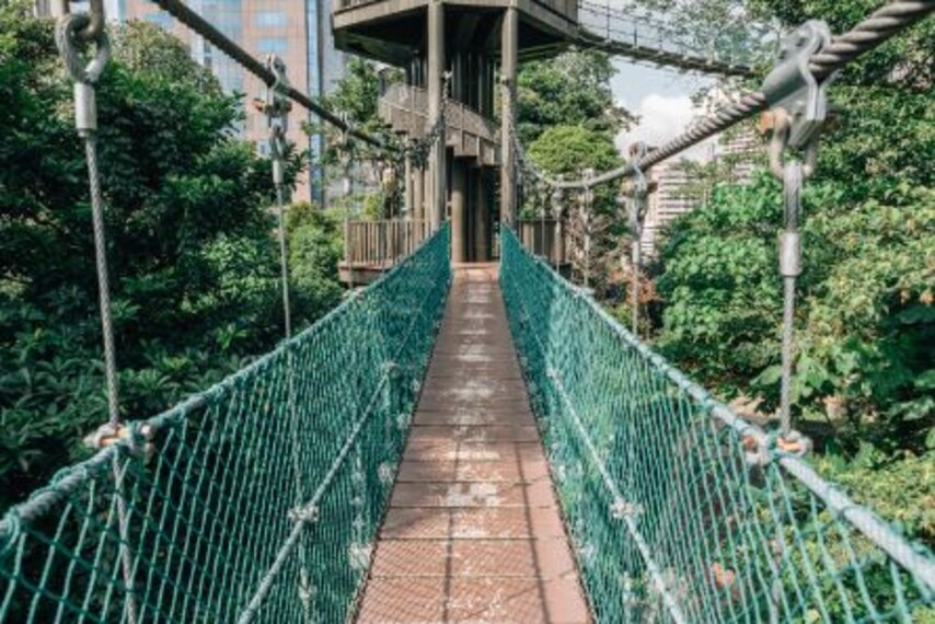 kuala_lumpur_bukit_nanas_forest_reserve_5