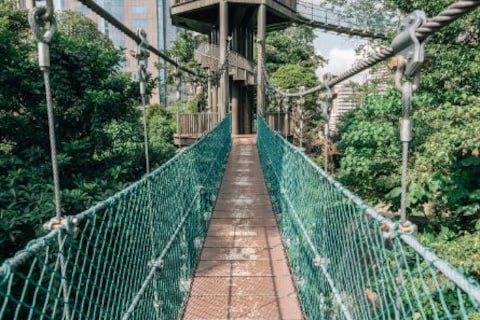 Explore Bukit Nanas Forest Reserve