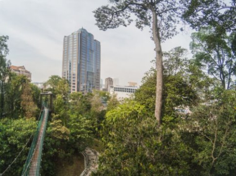 kuala_lumpur_bukit_nanas_forest_reserve_7