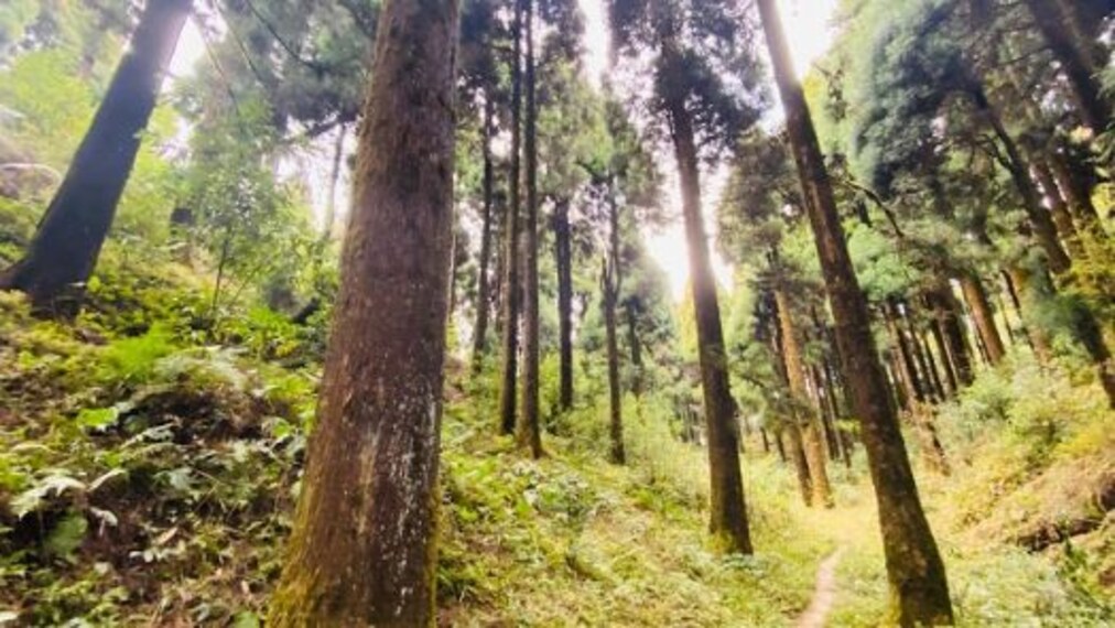 Senchal_Wildlife_Sanctuary_1