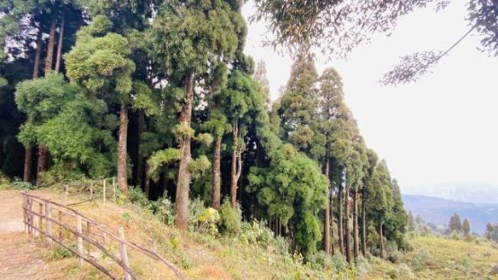 Senchal_Wildlife_Sanctuary_2