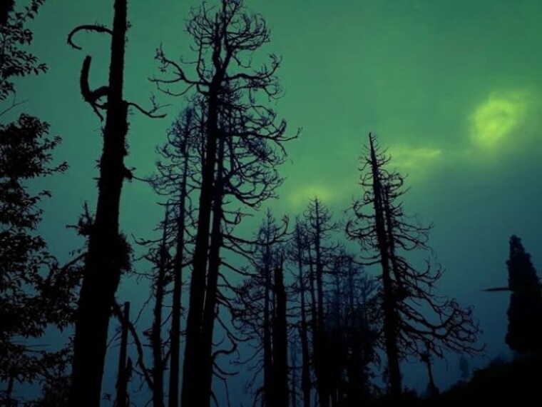 Senchal_Wildlife_Sanctuary_3