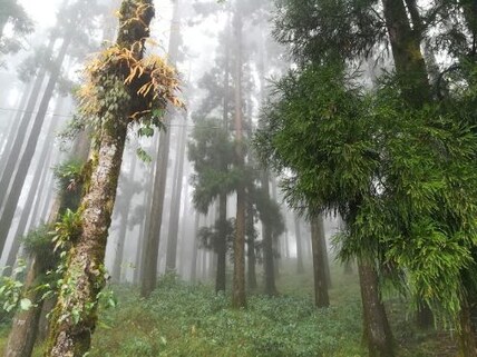 Relax at the Dowhill Eco Park