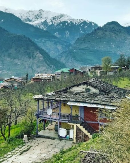 Naggar-1
