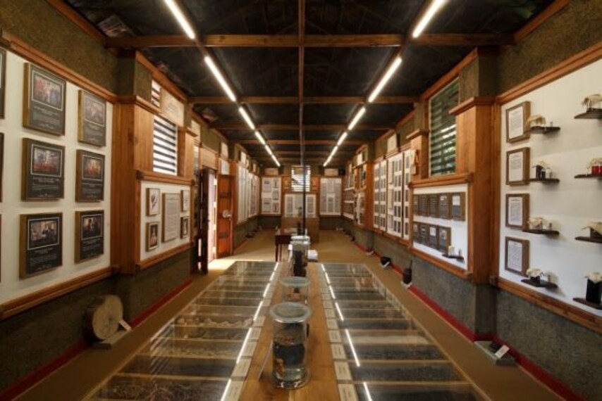 kumily_angadipetty_kerala_ayurveda_museum
