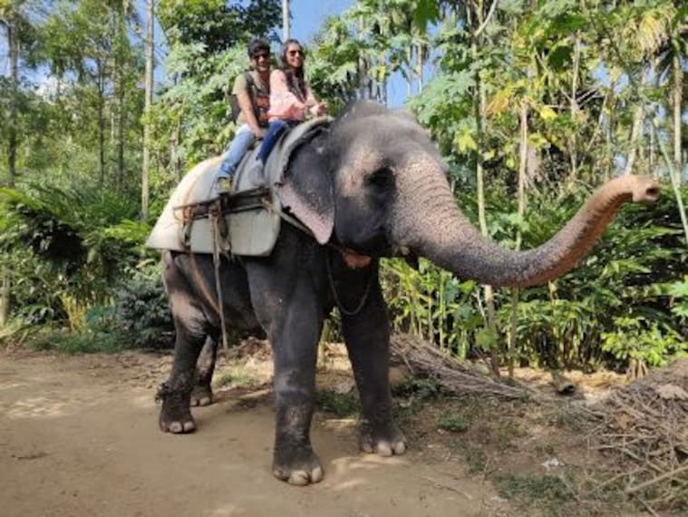 kumily_elephant_rides