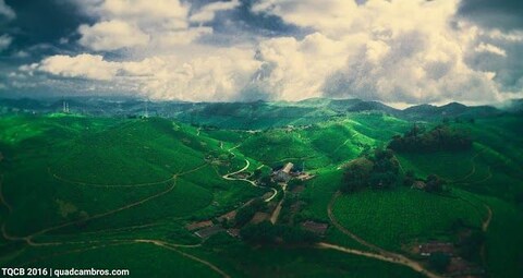 Pattumalay Heritage Tea Factory