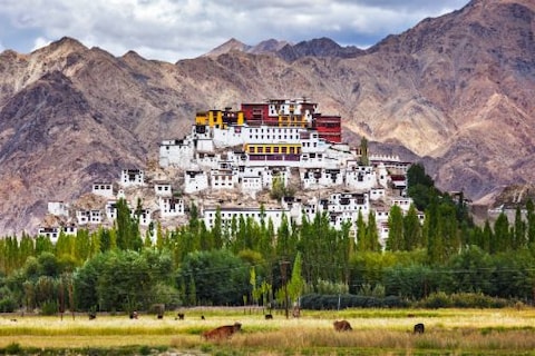 Thiksey Gompa